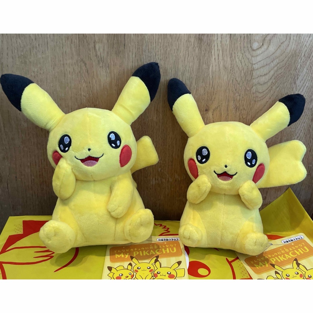 ポケモン - マイピカチュウ お目目キラキラ ♂♀セット♡ の通販 by