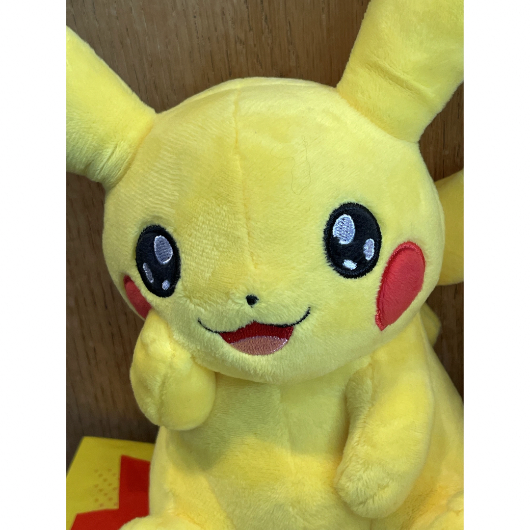ポケモン - マイピカチュウ お目目キラキラ ♂♀セット♡ の通販 by