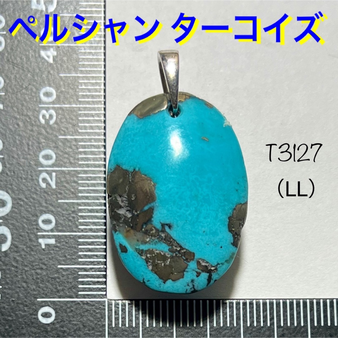 天然石 ペルシャン ターコイズ ペンダントトップ(LL) | フリマアプリ ラクマ