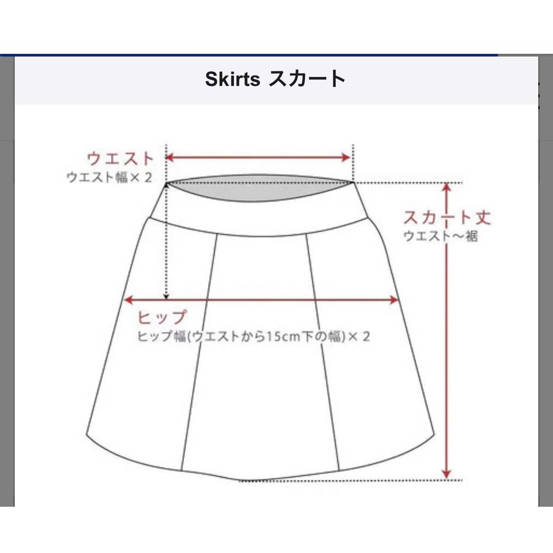 大きいサイズスカート/エフデ/ef-de/15号