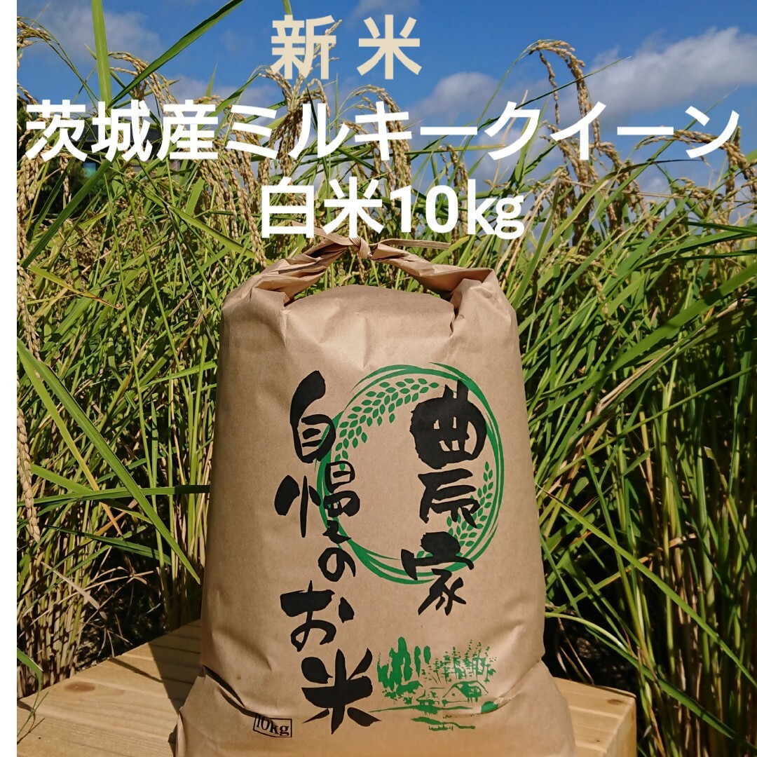 茨城令和5年産新米ミルキークイーン玄米10kg 食品/飲料/酒の食品(米/穀物)の商品写真