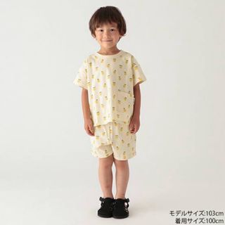 プティマイン(petit main)の新品　プティマイン　フルーツ柄　Tシャツ　ショートパンツ　上下　セット(Tシャツ/カットソー)