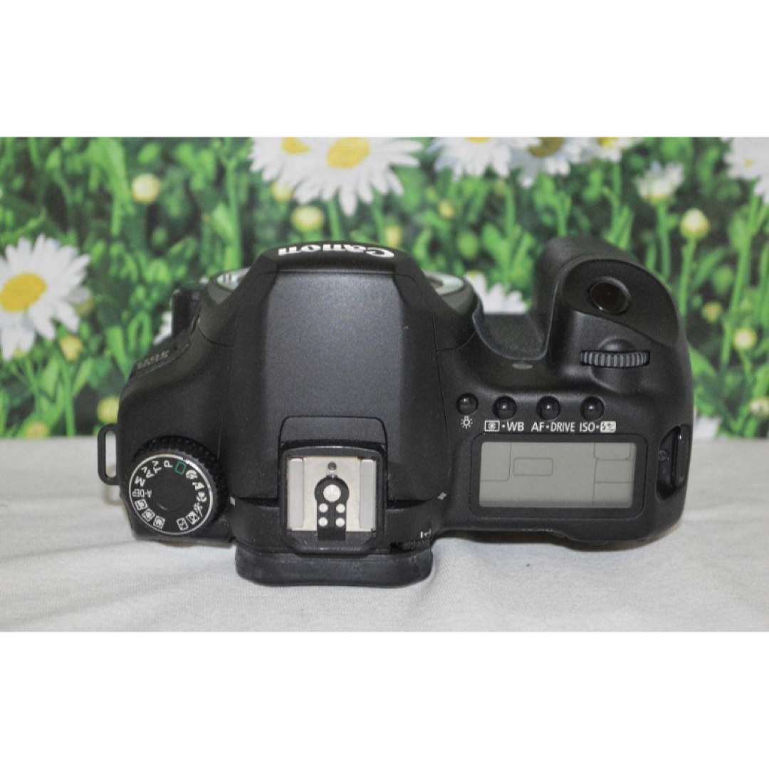⭐️キャノン Canon Eos 40D ⭐️キャノン デジタル一眼レフ⭐️ 5