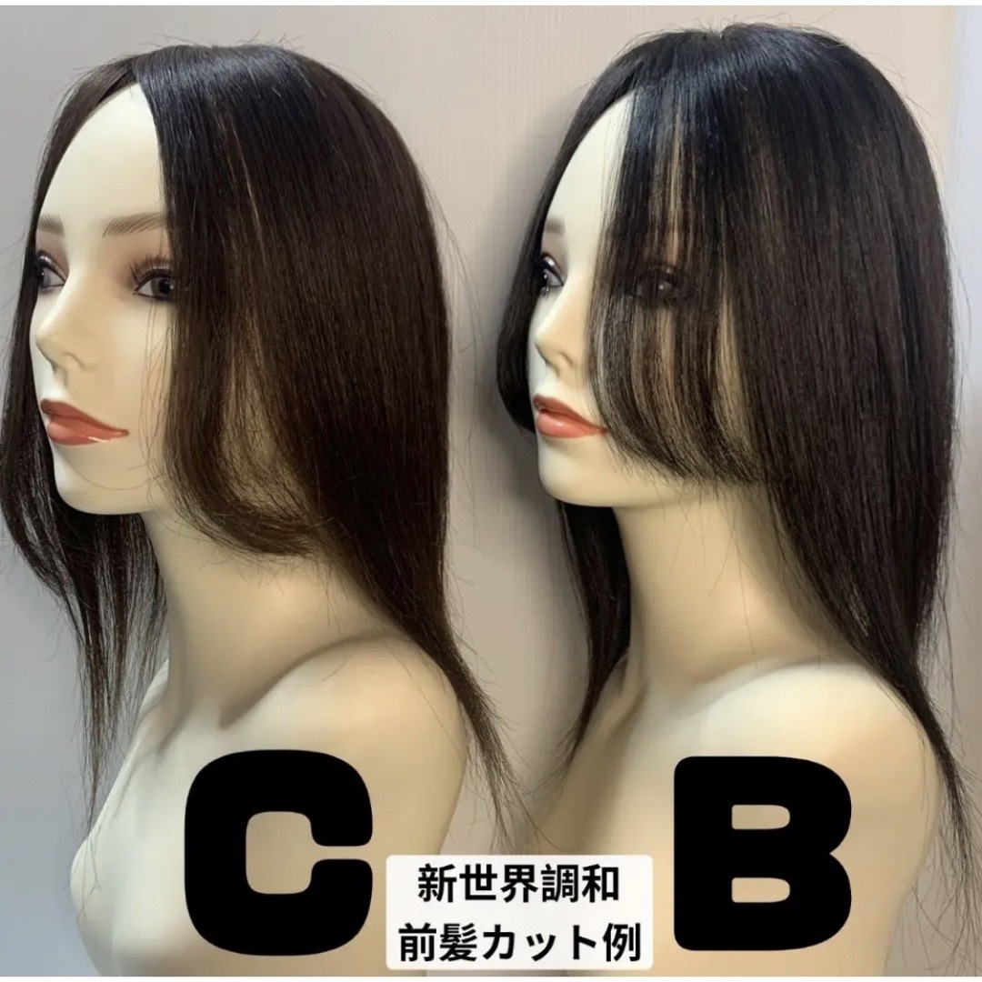 生産直販 人工肌スキン+レース総手植え新世界全シリーズ無料産毛5%増毛M 35~