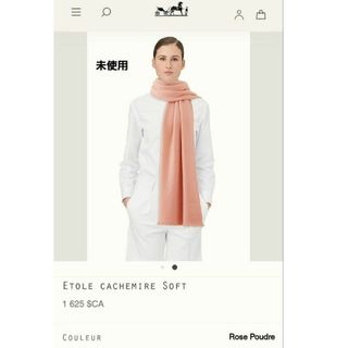 エルメス 大判ストール ストール/パシュミナ(レディース)の通販 100点