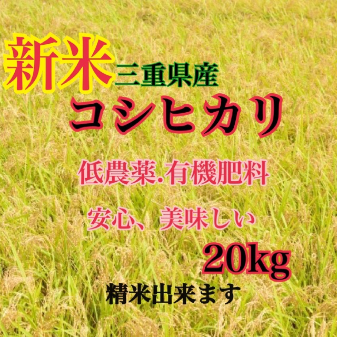 20kg　精米出来ます　米/穀物　三重県産　新米コシヒカリ