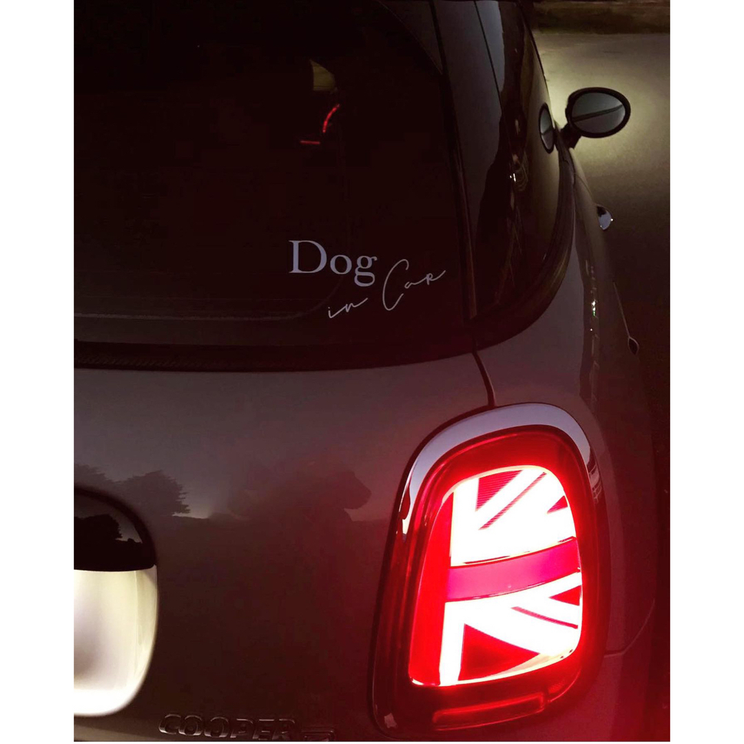 【おまけつき】カーサイン Dog in car ドッグインカー わんちゃん 犬 自動車/バイクの自動車(車外アクセサリ)の商品写真