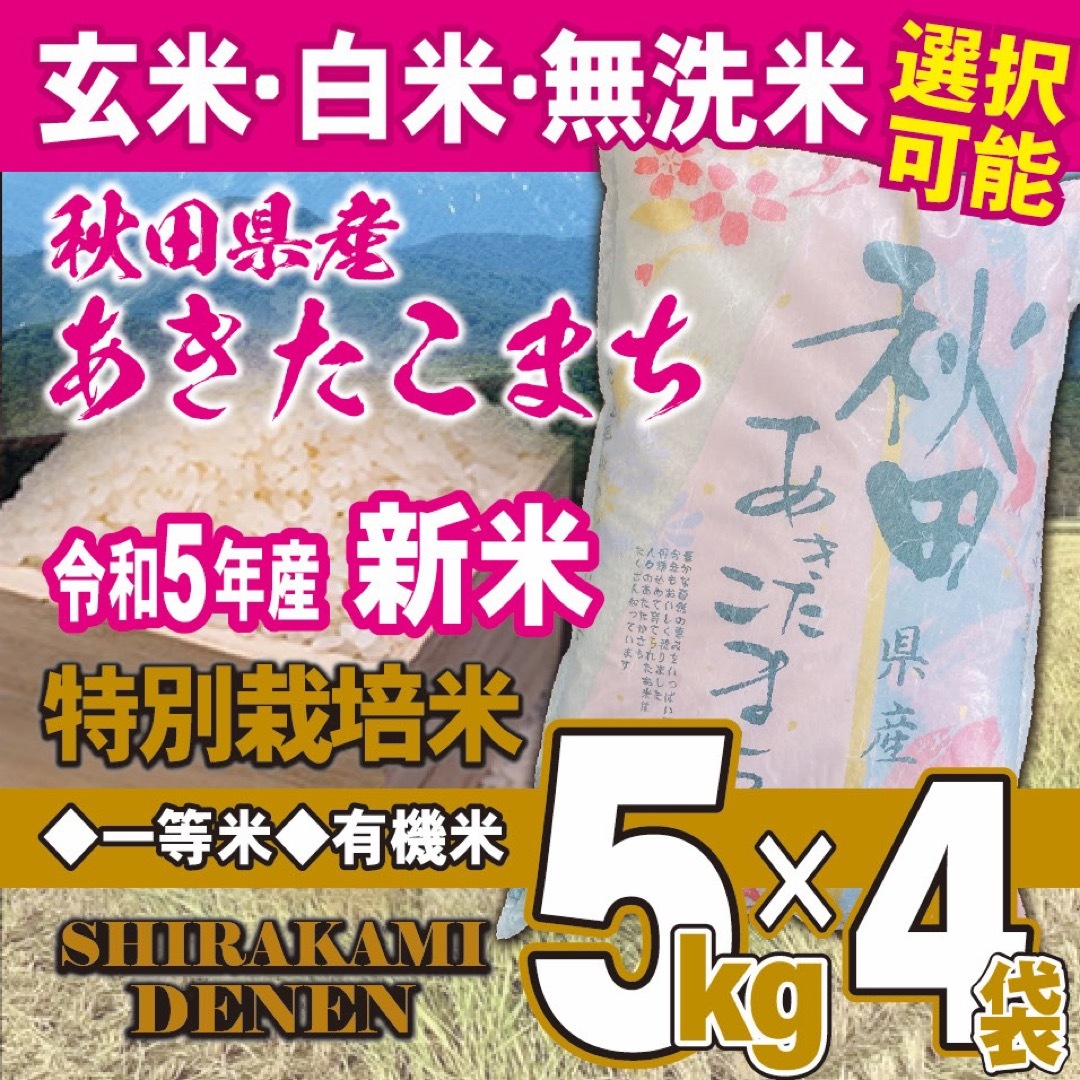 羅紋蝉衣宣 尺八 50枚 - haydiyolacik.com