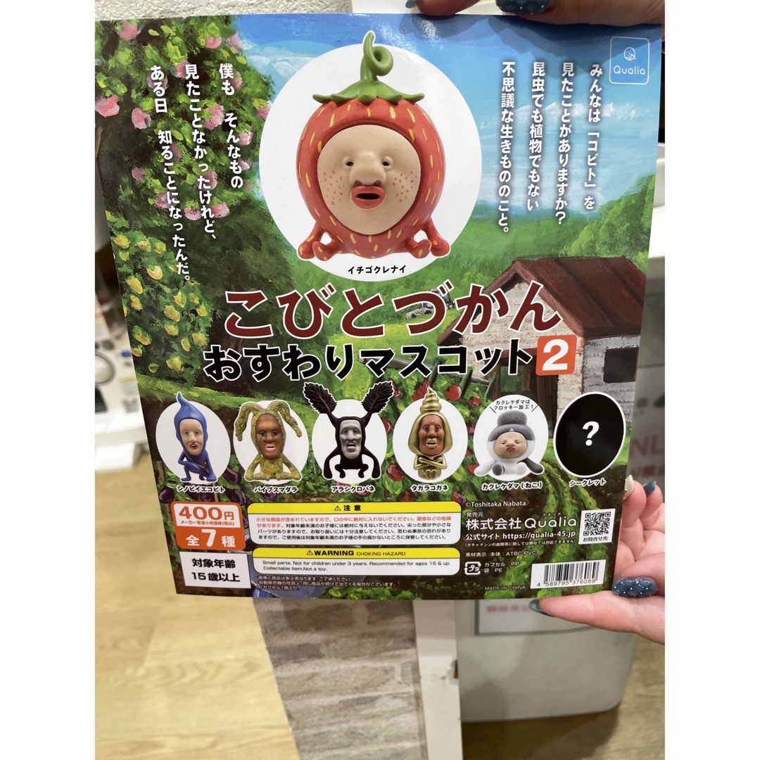 こびとづかん　おすわりマスコット2 新品　未使用　アラシクロバネ エンタメ/ホビーのおもちゃ/ぬいぐるみ(キャラクターグッズ)の商品写真