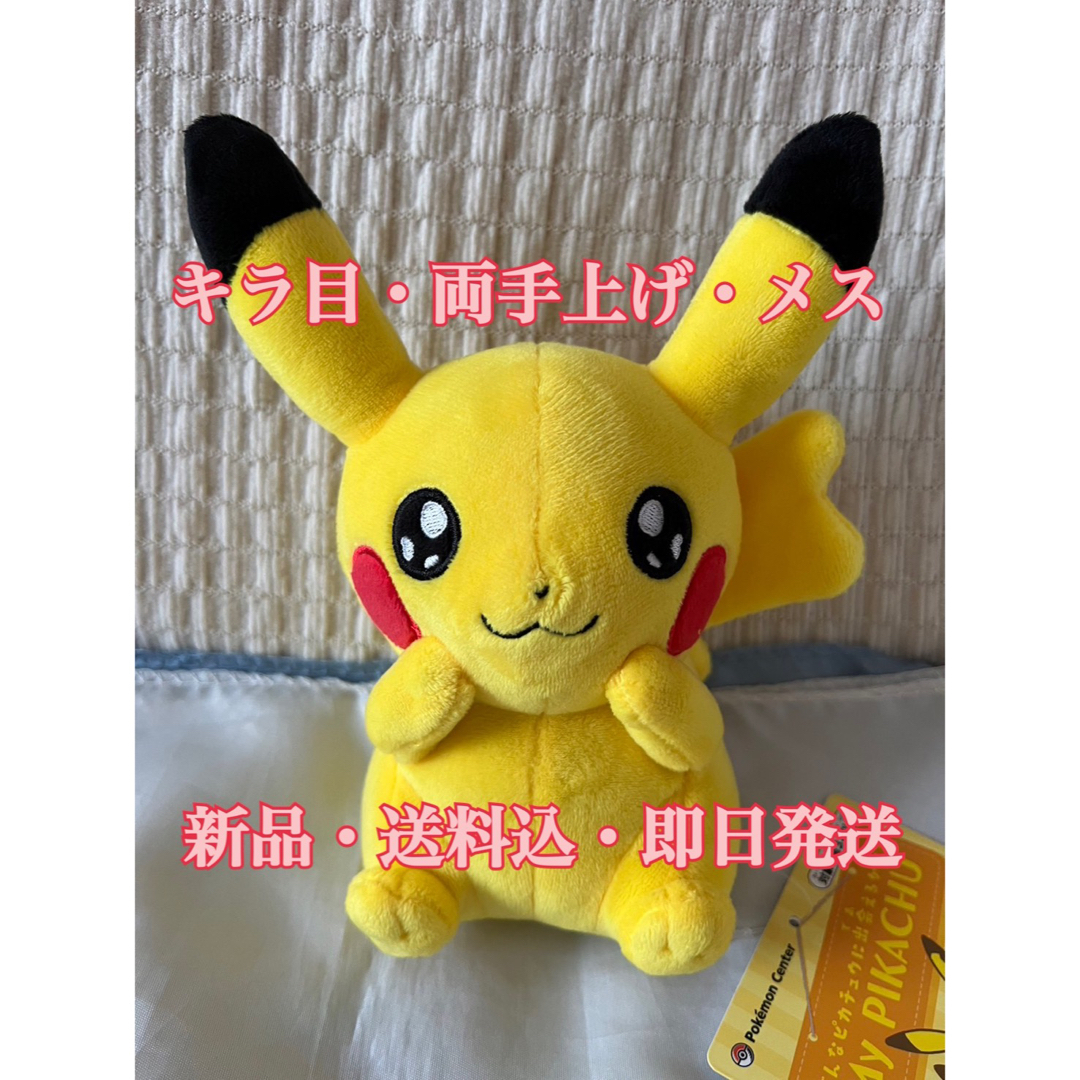 ★新品・送料込・即日発送★マイピカチュウ ぬいぐるみ 激選 激かわ 可愛い 美人