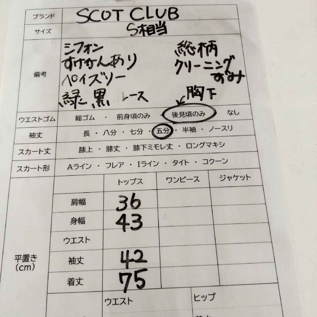 クリーニング済み★スコットクラブ 五分袖 ブラウス 透け感 S相当 緑 ペイズリ