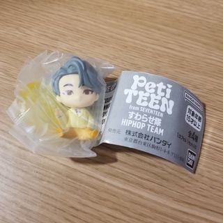 セブンティーン(SEVENTEEN)のPetiTEEN from SEVENTEEN すわらせ隊(その他)