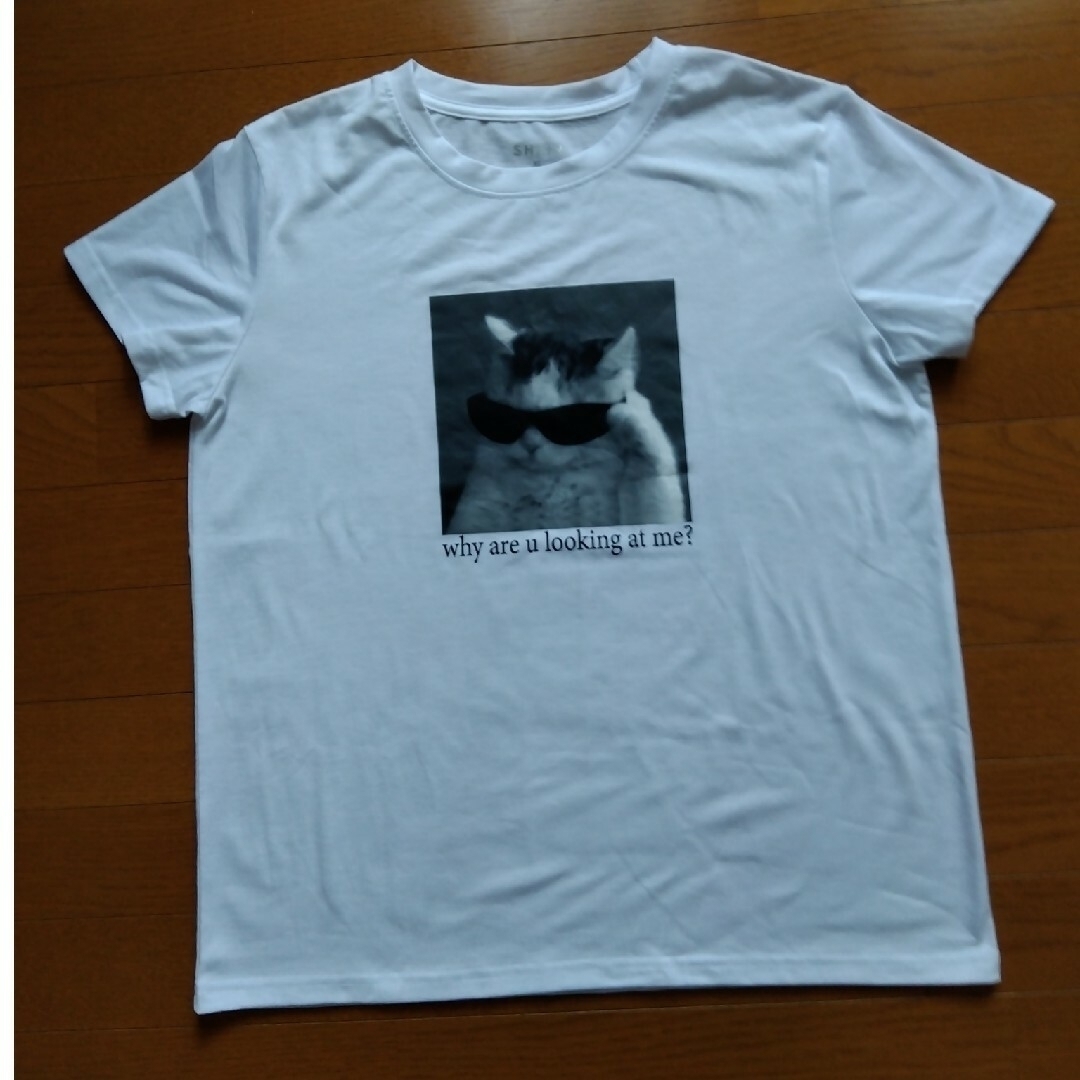 ネコ Ｔシャツ レディースのトップス(Tシャツ(半袖/袖なし))の商品写真
