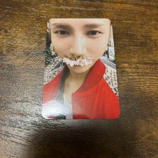 SUPER JUNIOR - ☆SJ イェソン トレカ ⑤ 君という桜の花びらが SUPER JUNIOR - ☆SJ イェソン トレカ ⑤ 君という桜の花びらが