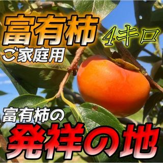 柿の有名ブランドをお試しを！『ご家庭用富有柿４キロ』岐阜県産地直送です！(フルーツ)