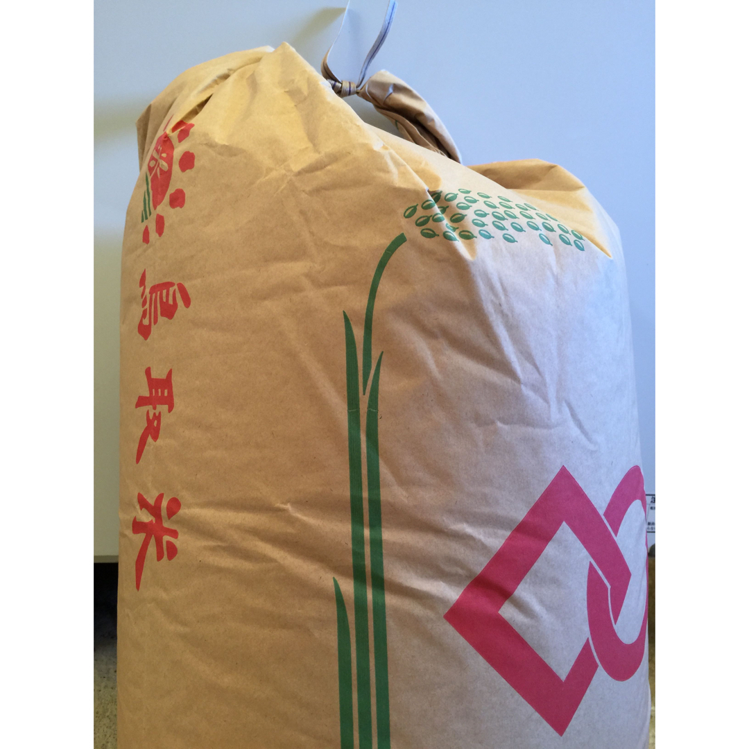 《20キロ玄米を精米して減量》お米18kg 令和5年鳥取県産 コシヒカリ  食品/飲料/酒の食品(米/穀物)の商品写真