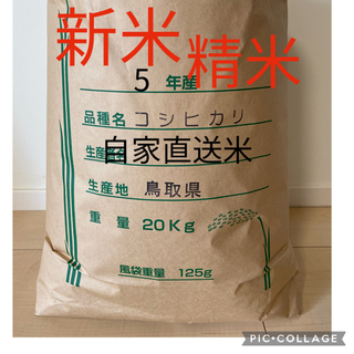 《20キロ玄米を精米して減量》お米18kg 令和5年鳥取県産 コシヒカリ (米/穀物)