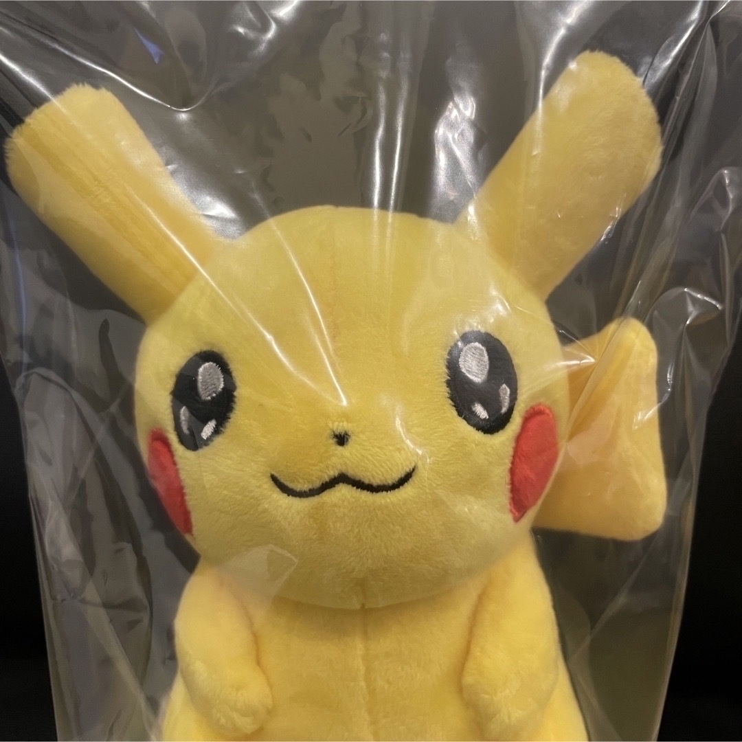 マイピカチュウ オスメスセットMy PIKACHU ぬいぐるみ キラ目 タグ付き