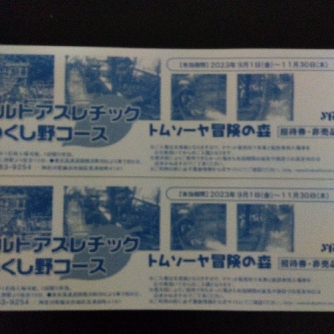 招待券　2枚セット　フィールドアスレチック　横浜つくし野　トムソーヤ冒険の森 チケットの施設利用券(遊園地/テーマパーク)の商品写真