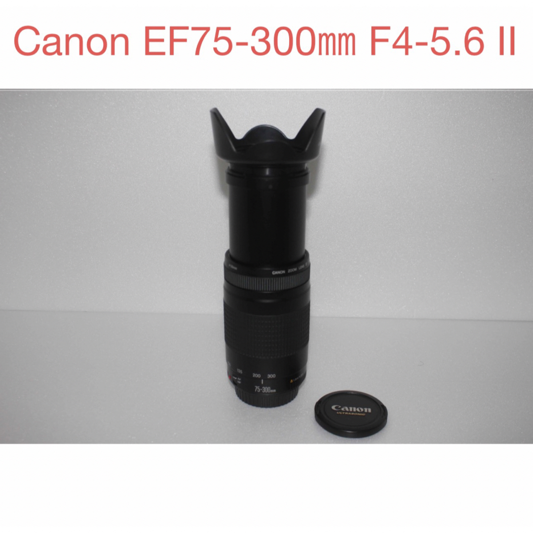 Canon - 大望遠レンズ キャノン Canon EF75-300 F4-5.6 II の通販 by