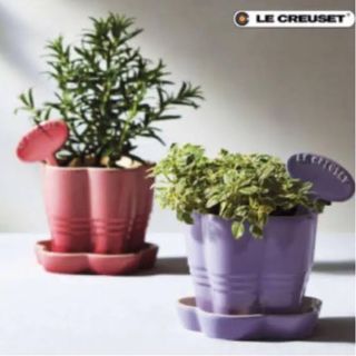 ルクルーゼ(LE CREUSET)のル･クルーゼ プランター新品未使用(プランター)