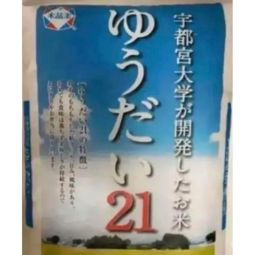 新米ゆうだい21