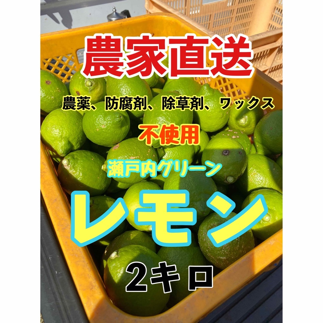 瀬戸内グリーンレモン　2キロ　農家直送　農薬　防腐剤　除草剤　不使用　れもん　③ 食品/飲料/酒の食品(フルーツ)の商品写真