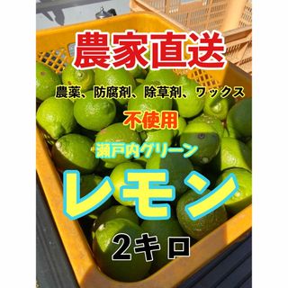 瀬戸内グリーンレモン　2キロ　農家直送　農薬　防腐剤　除草剤　不使用　れもん　③(フルーツ)