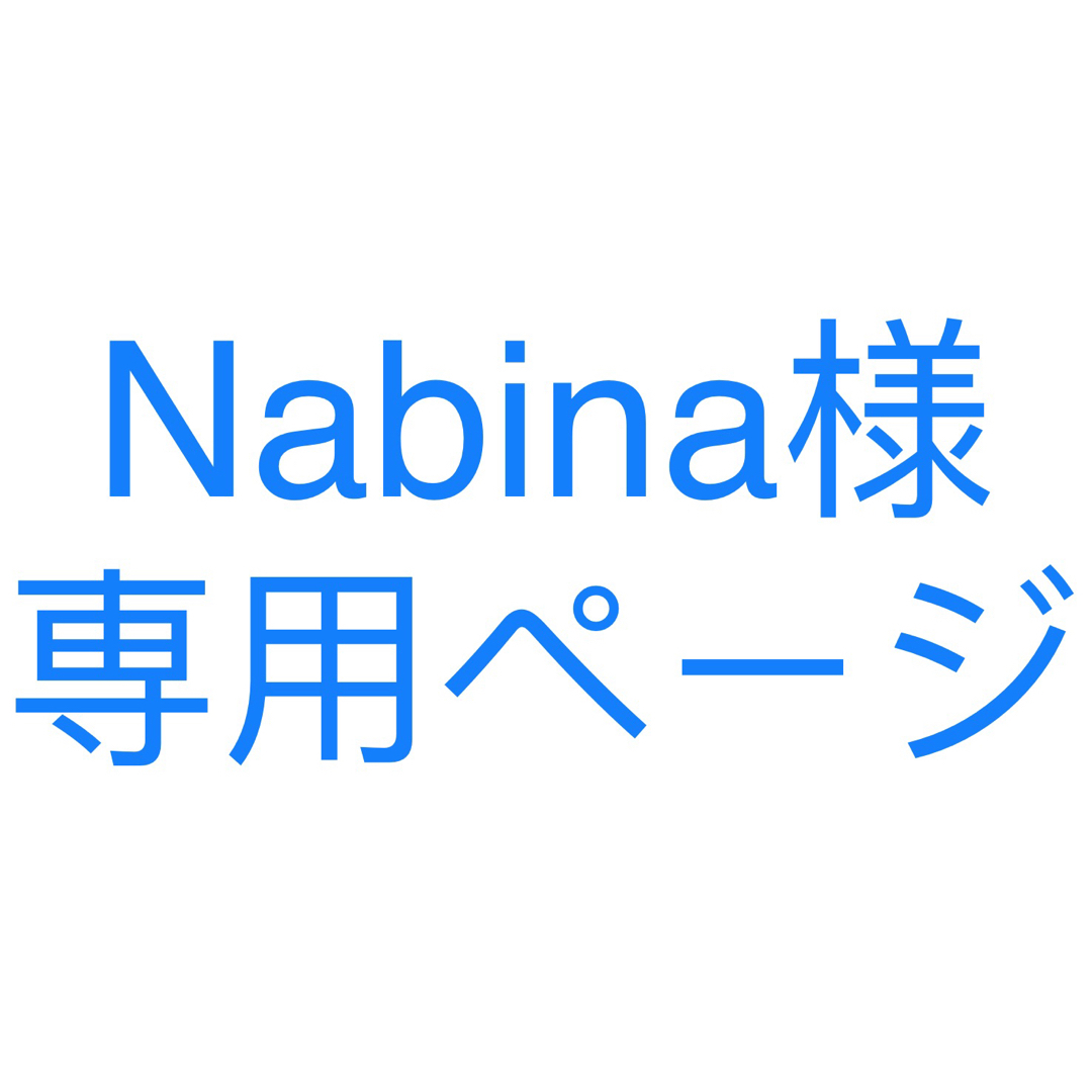 Nabina様専用ページ　トースター　変圧器　2点セット スマホ/家電/カメラの生活家電(変圧器/アダプター)の商品写真