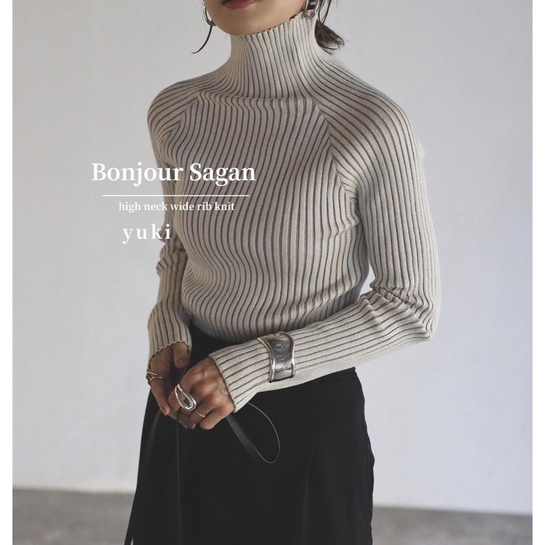 【新品/タグ付き】Bonjour Sagan ハイネックワイドリブニット e レディースのトップス(ニット/セーター)の商品写真