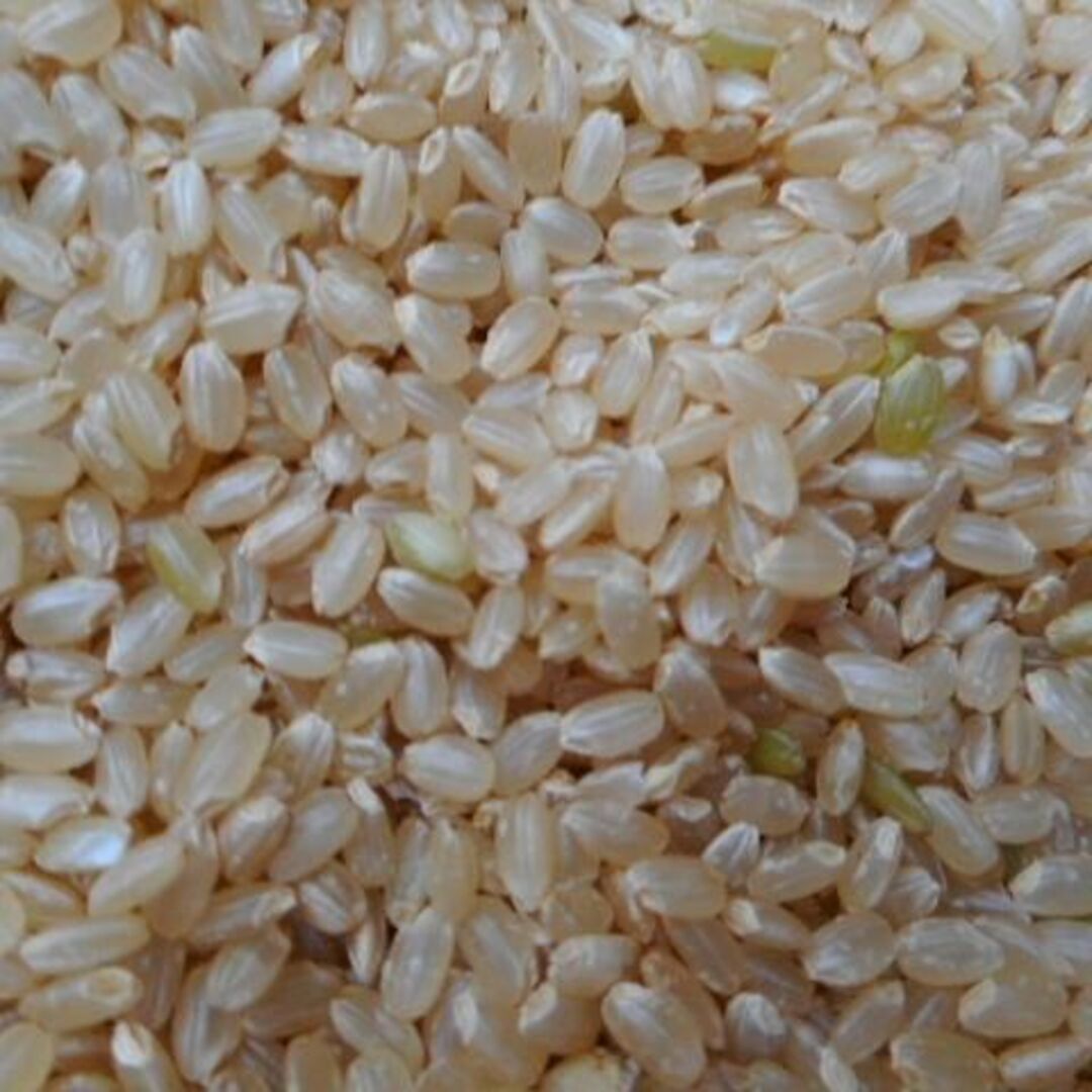 令和5年度 新米【湧き水栽培】農薬不使用玄米　ヒノヒカリ 30㎏　奈良の農家直送