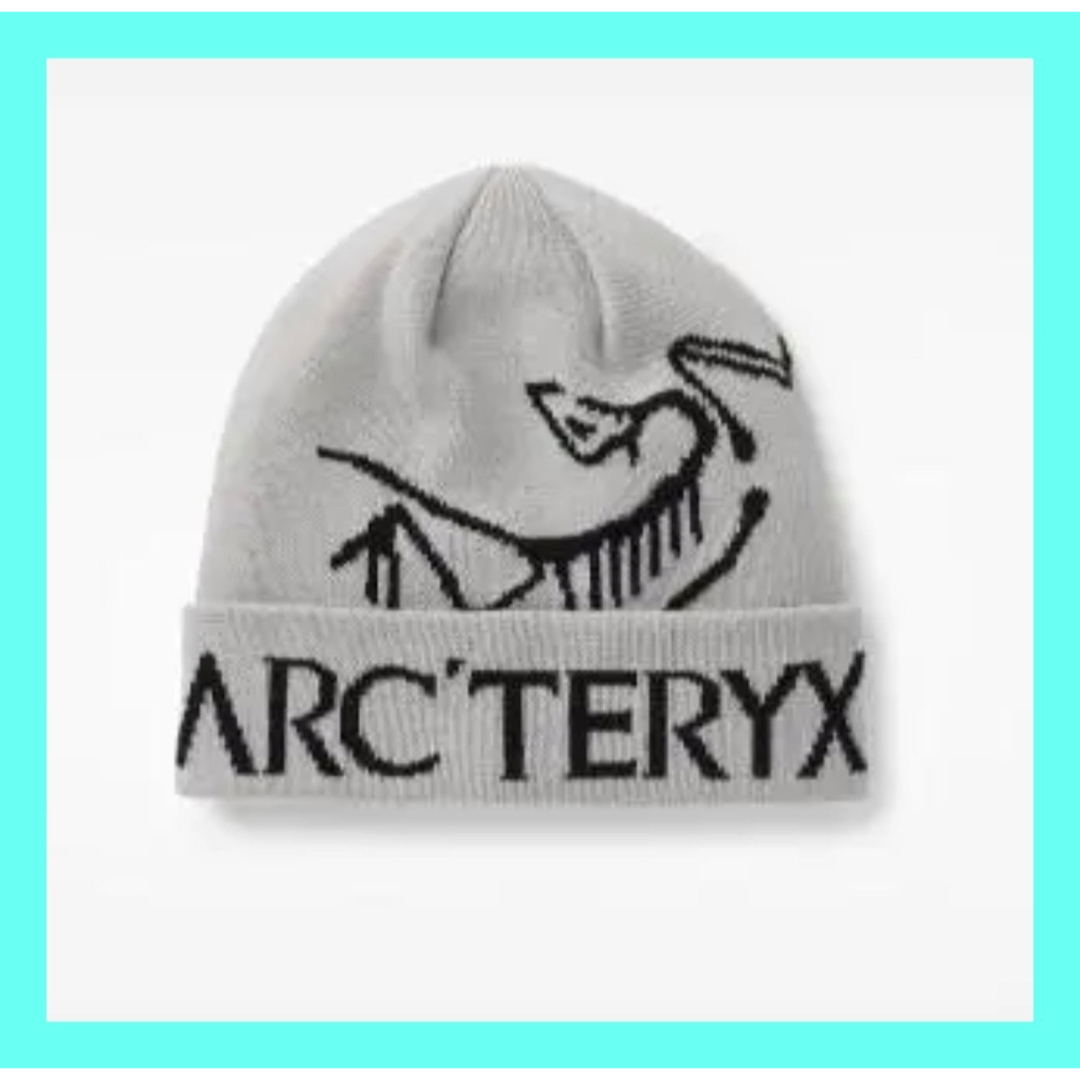 ARC'TERYX バードワードトークBirdWordToqueビーニーニット帽