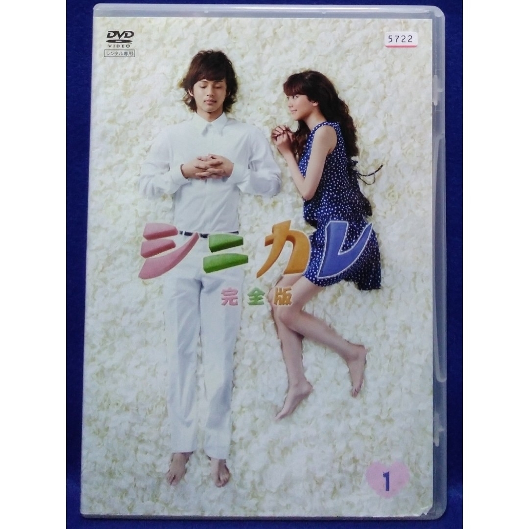 シニカレ DVD