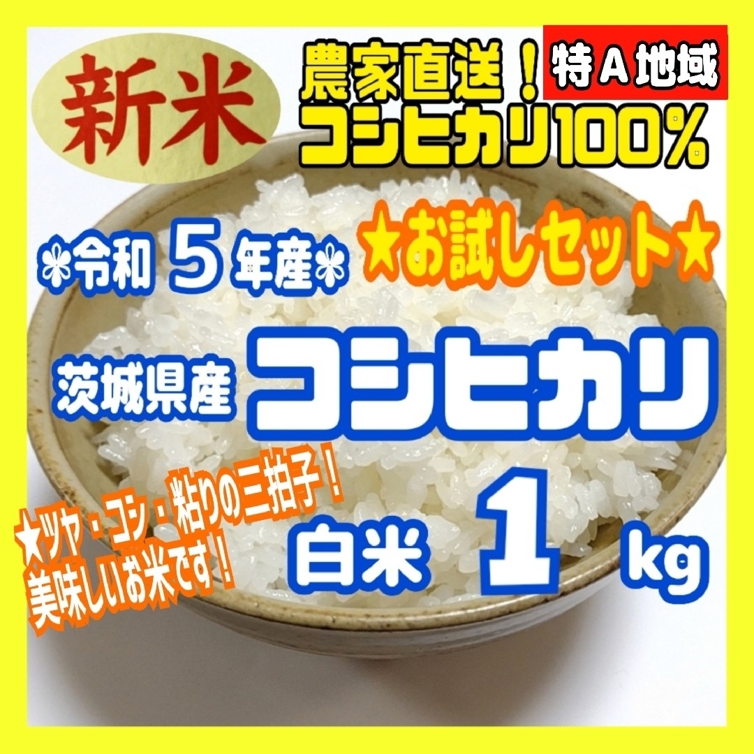 ホットセール コシヒカリ24キロ☆お米☆新米☆1