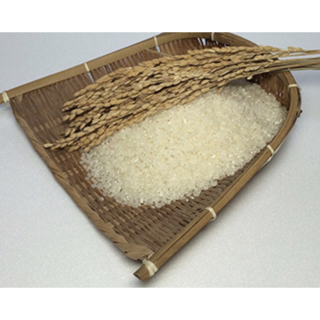 麦様専用　無農薬コシヒカリ玄米10kg、普通精米10kg　合計20kg　令和3年-