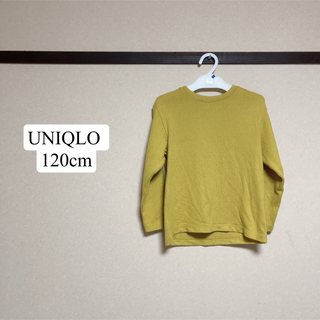 ユニクロ(UNIQLO)のUNIQLO ニット 120cm(ニット)