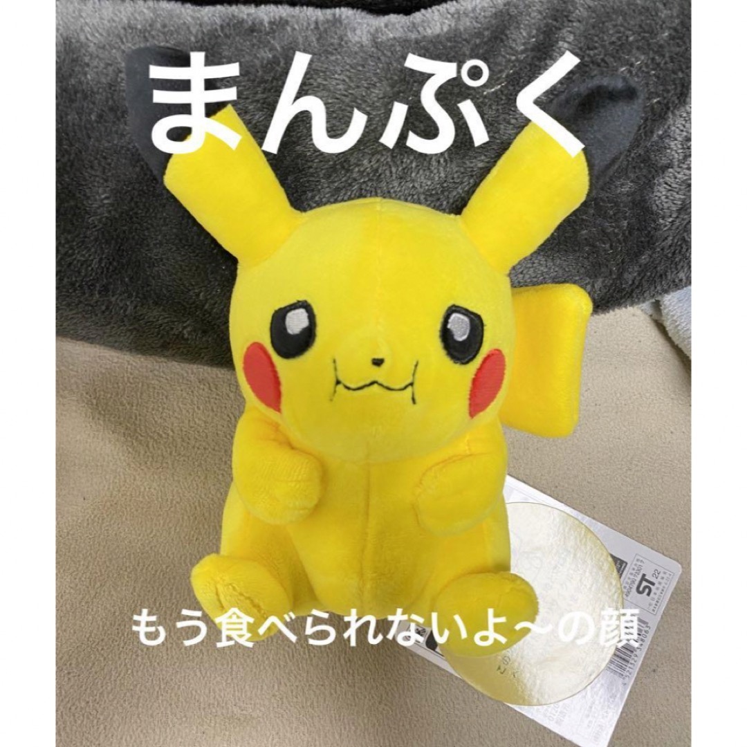 ポケセン マイピカチュウ まんぷく 困り顔 男の子の通販 by きのこ