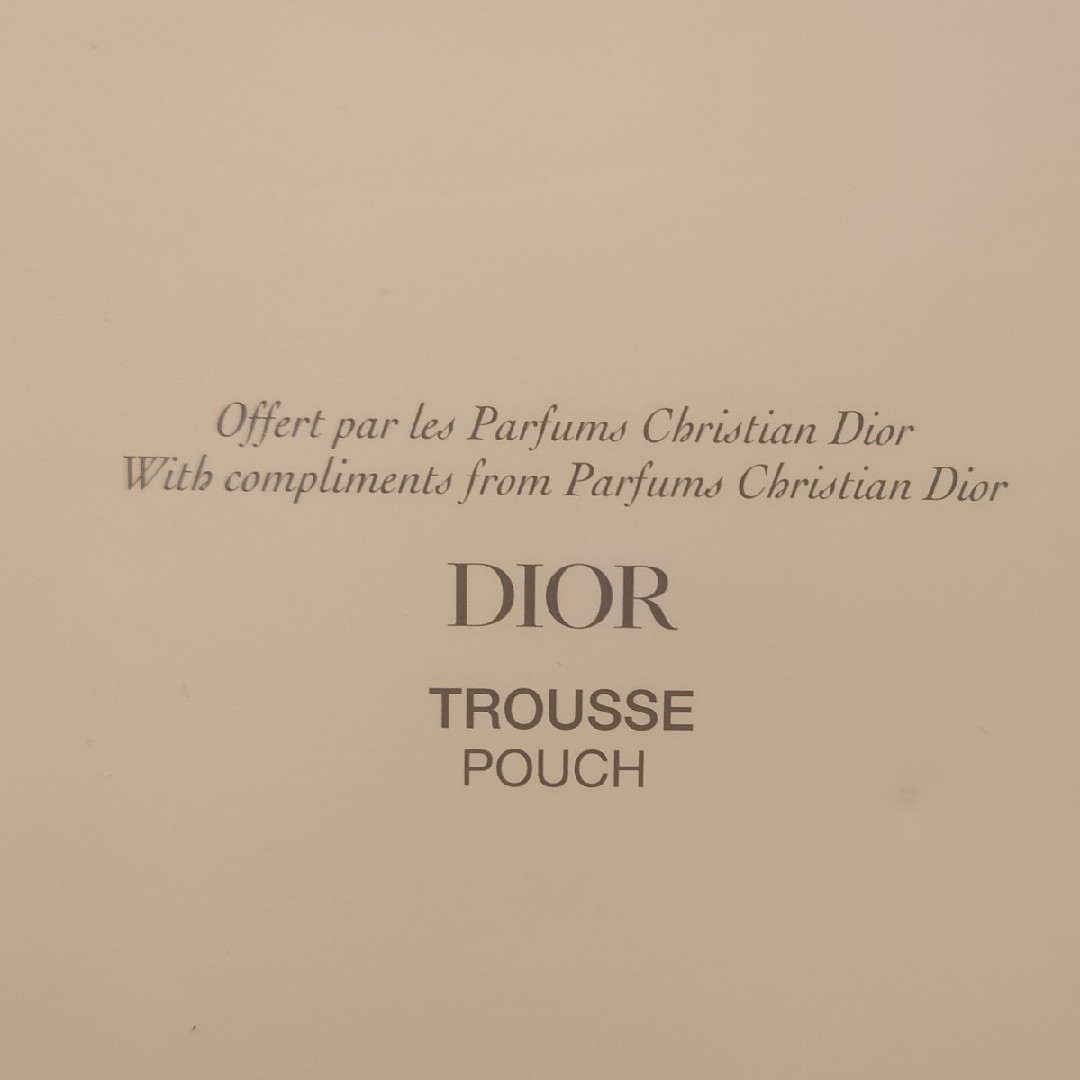 Dior(ディオール)のDIOR　ポーチ レディースのファッション小物(ポーチ)の商品写真