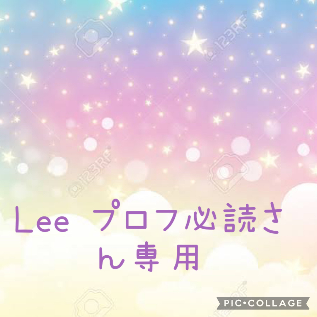 ハローキティ(ハローキティ)のLee プロフ必読さん専用 エンタメ/ホビーのおもちゃ/ぬいぐるみ(キャラクターグッズ)の商品写真