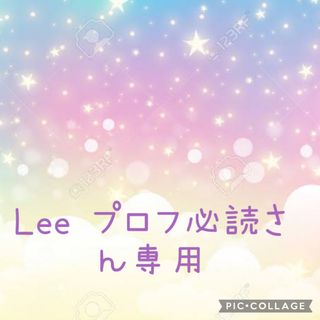 ハローキティ(ハローキティ)のLee プロフ必読さん専用(キャラクターグッズ)