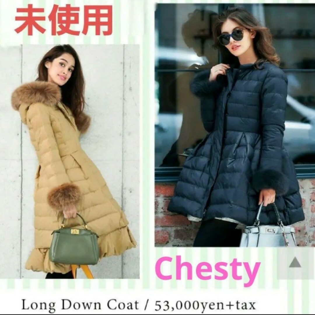 chesty down jacket チェスティダウンコート