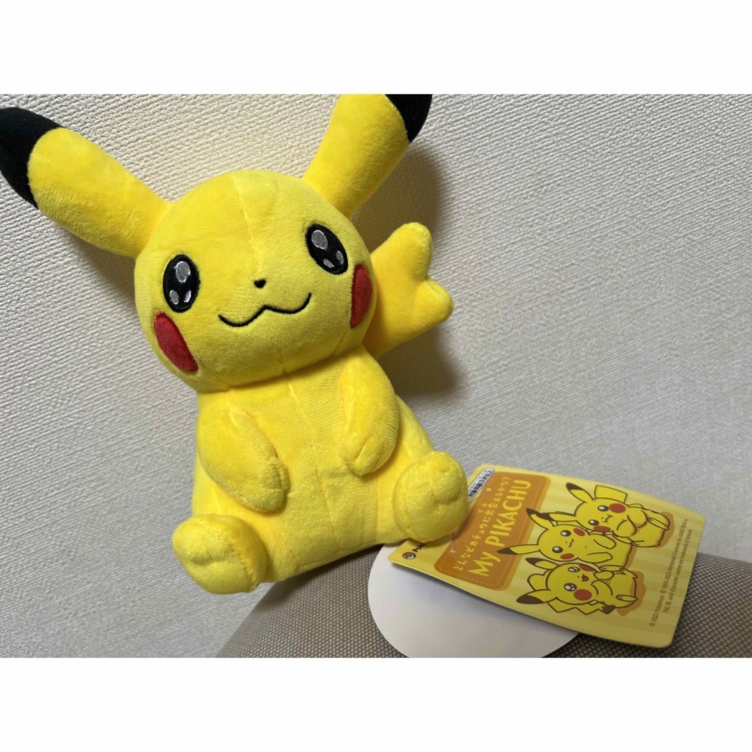 My PIKACHU マイピカチュウ  ポケモン　ポケットモンスター