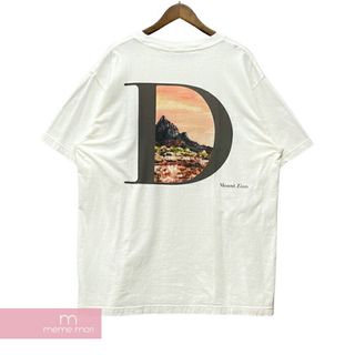 ディオール Tシャツの通販 500点以上 | Diorを買うならラクマ