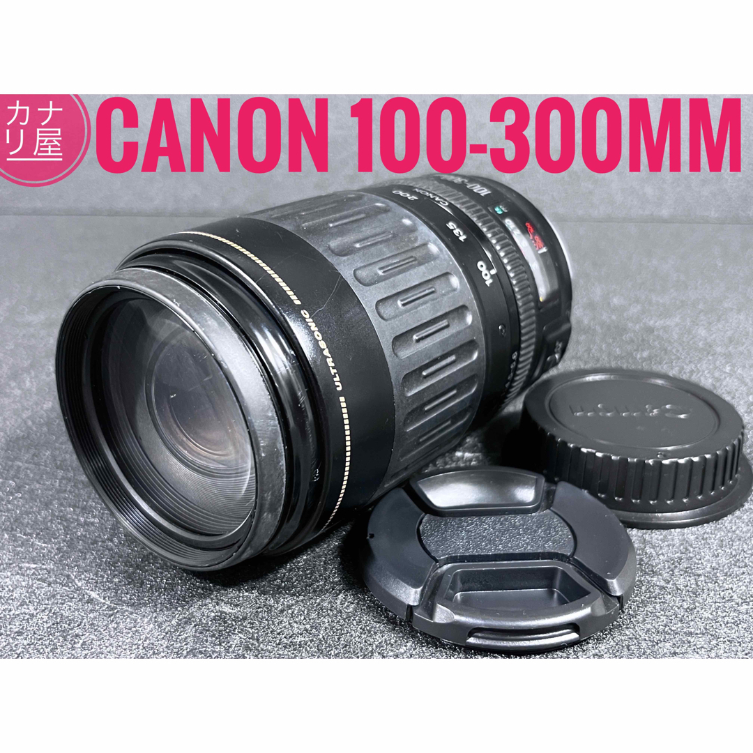 ✨安心保証✨CANON EF 100-300mm f/4.5-5.6 USM