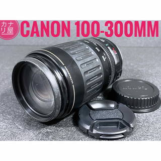 キヤノン(Canon)の✨安心保証✨CANON EF 100-300mm f/4.5-5.6 USM(レンズ(ズーム))