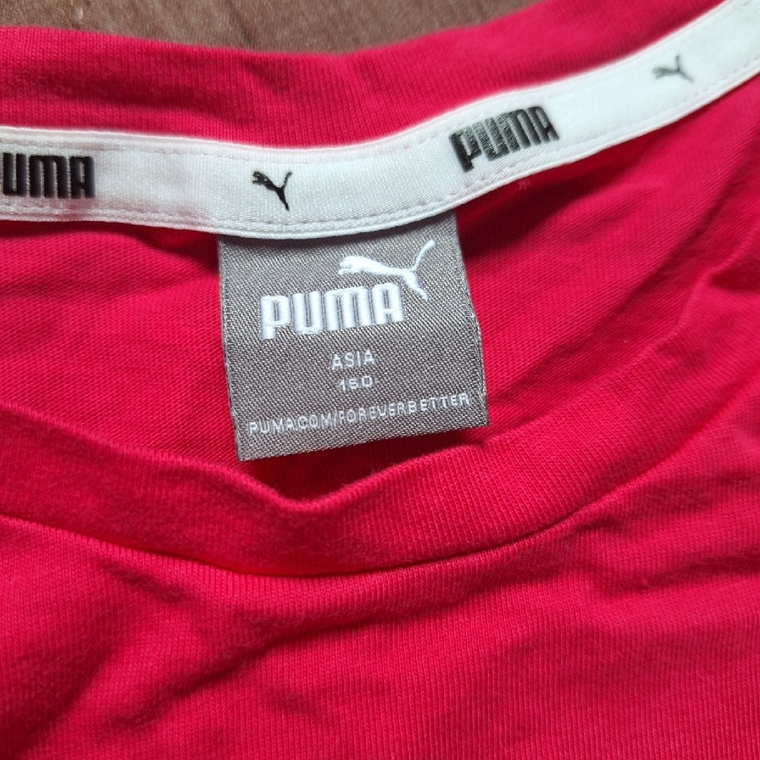 PUMA Tシャツ キッズ/ベビー/マタニティのキッズ服女の子用(90cm~)(Tシャツ/カットソー)の商品写真