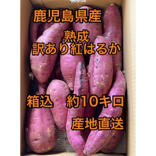 鹿児島県産　熟成訳あり紅はるか　箱込10キロ (野菜)