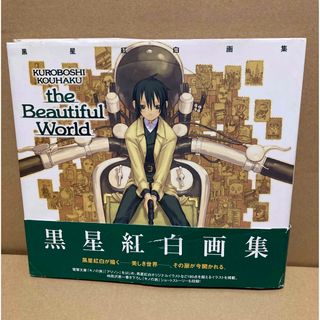 アスキーメディアワークス(アスキー・メディアワークス)のＴｈｅ　ｂｅａｕｔｉｆｕｌ　ｗｏｒｌｄ 黒星紅白画集(その他)