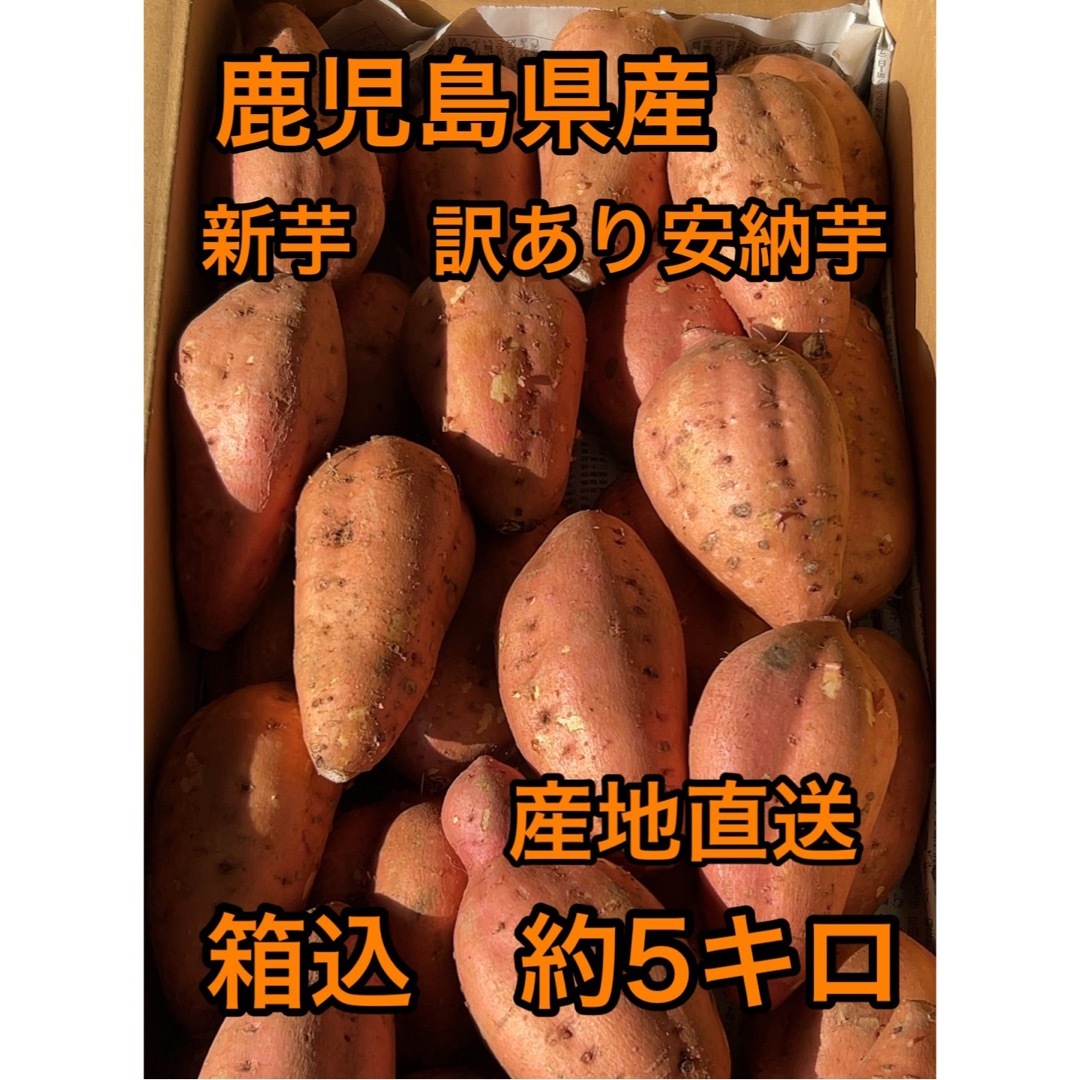 鹿児島県産　新芋　訳あり安納芋　箱込約5キロ　 食品/飲料/酒の食品(野菜)の商品写真