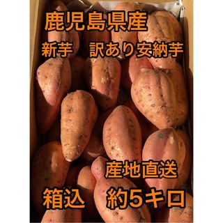 鹿児島県産　新芋　訳あり安納芋　箱込約5キロ　(野菜)